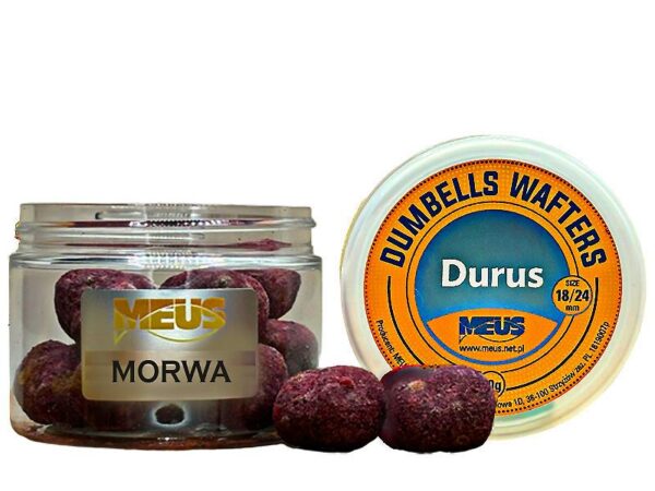 Wafters gros poissons mulberry carpe